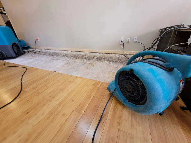Reliable Basement Flood Cleanup contractor in Burton, MI by Hirex Water Damage
