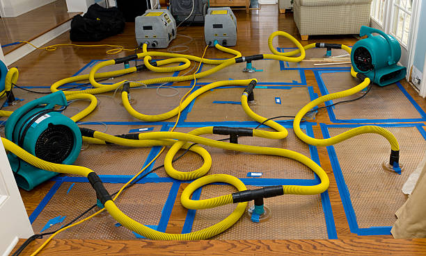 Professional Basement Flood Cleanup technician working in Burton, MI